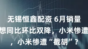 无锡恒鑫配资 6月销量快报：理想同比环比双降，小米惨遭“截胡”？