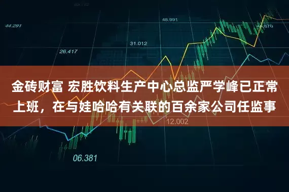 金砖财富 宏胜饮料生产中心总监严学峰已正常上班，在与娃哈哈有关联的百余家公司任监事